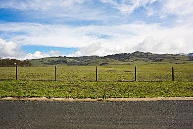 《植物大战僵尸3》发布游戏预告 年内上线